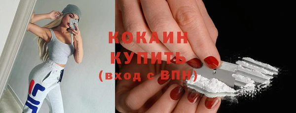 дживик Каменногорск