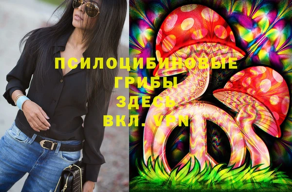 дживик Каменногорск