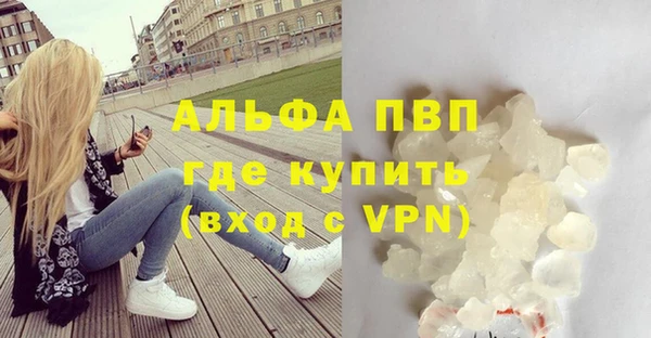 дживик Каменногорск