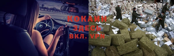 дживик Каменногорск