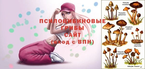 меф Каменка