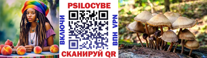 Купить  Себеж  Псилоцибиновые грибы мухоморы 